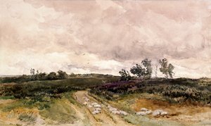 Moorlandschaft, 1878