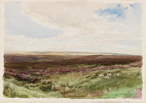 Moorlandschaft bei Hart Leap Well, Yorkshire von Thomas Collier