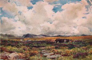 Torf stapeln, Festiniog, Nordwales, 1881