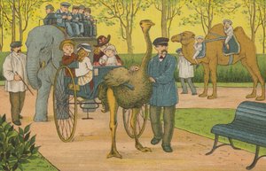 Paris: der Zoo