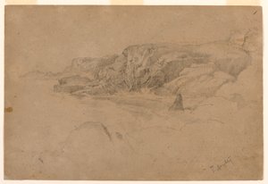 Studie aus der Natur von Thomas Doughty