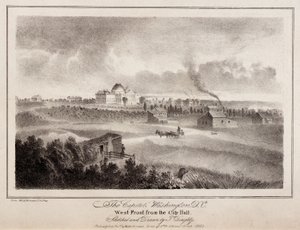 Das Kapitol. Washington, D.C. von Thomas Doughty