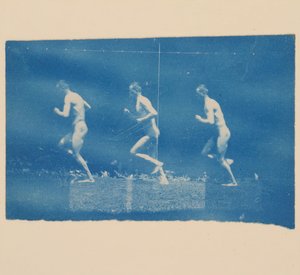 Marey-Rad-Fotografien von Jesse Godley