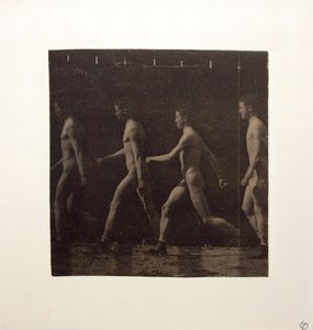 Marey-Rad-Fotografien eines unbekannten Modells, ca. 1884 von Thomas Eakins