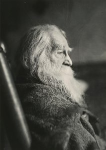 Walt Whitman in Camden, N.J.