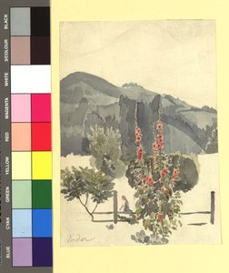 Studie (Landschaft mit Pappelrosen) von Thomas Ender