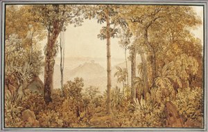 Blick über Rio de Janeiro vom Tijuca-Wald von Thomas Ender