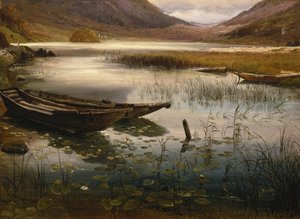 Boote und Seerosen von Thomas Fearnley