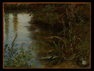 Studie von Wasser und Pflanzen von Thomas Fearnley