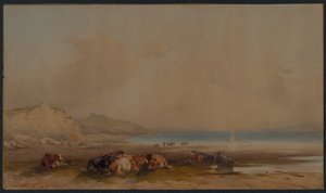 Landschaft