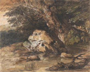 Ein Waldteich mit Felsen und Pflanzen von Thomas Gainsborough