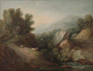 Felsige, bewaldete Landschaft mit Schlucht und Wehr