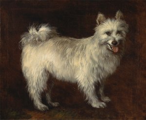 Spitzhund von Thomas Gainsborough