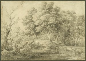 Waldlandschaft mit Bach