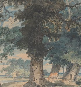 Hirsche im Windsor Forest, 1793-94
