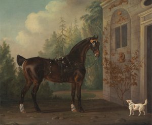 Lord Abergavennys dunkelbraunes Kutschpferd mit einem Terrier von Thomas Gooch