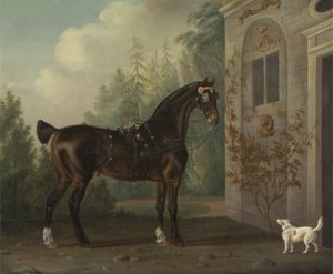 Lord Abergavennys dunkelbraunes Kutschpferd mit einem Terrier
