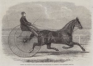 Jackey, der Gewinner der letzten Aintree-Trotting-Stakes in Liverpool von Thomas Harrington Wilson