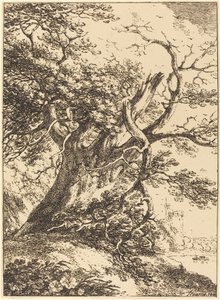 Alter Baum von Thomas Hearne