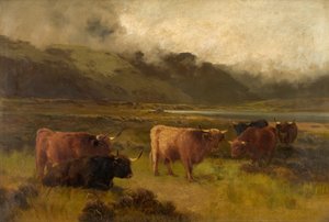 Auf Tarras Moss
