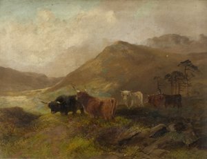 Sommerzeit in den Cheviots