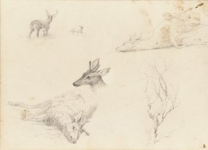 Skizzenbuch mit Landschafts- und Tiermotiven von Thomas Hewes Hinckley