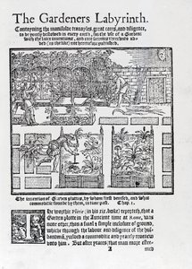 Laube als Sonnenschutz und Pflanzung in Hochbeeten, aus The Gardeners Labyrinth, 1577 von Thomas Hill