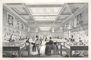 British Museum, Zoologische Galerie, aus 