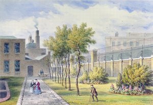 Garten des St. Thomas Krankenhauses, Southwark, London von Thomas Hosmer Shepherd