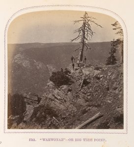 Wahwonah - Oder Big Tree Point