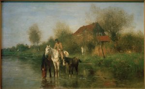 Pferde am Wasser
