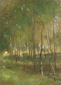 Wald von Thomas Ludwig Herbst