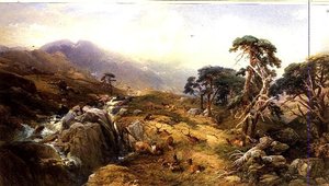 Ben Venue in den Trossachs