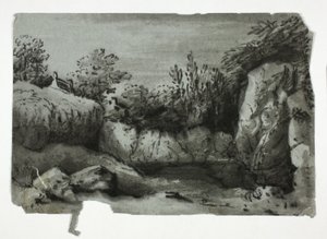 Felsiger Pool von Thomas Monro