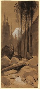Im Yosemite-Tal, 1872 von Thomas Moran