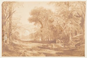 Am oberen Delaware (nach einer Kohlezeichnung) von Thomas Moran