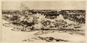 Das tosende Meer von Thomas Moran