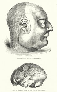 Illustration für das Leben von Jonathan Swift von Thomas Morten
