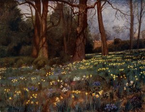 Kew Gardens: Der wilde Garten im Frühling