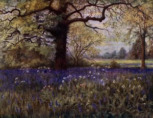 Kew Gardens: Wilde Hyazinthen von Thomas Mower Martin