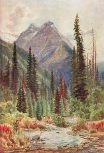  von Thomas Mower Martin