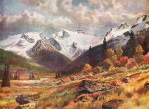 Das Tal vom Rogers Pass