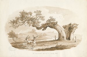 Chartley Hall - Park von Thomas Peploe Wood
