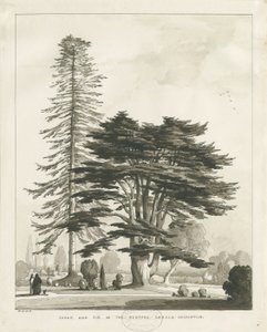Haughton Pfarrhaus