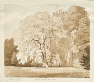 Ingestre - eine Studie von Bäumen, ca. 1838 von Thomas Peploe Wood