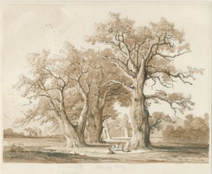 Teddesley Hall - Eichen