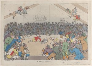 Ein Hundekampf von Thomas Rowlandson