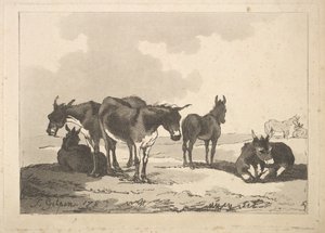Eine Gruppe von fünf Eseln, drei stehend, zwei liegend, 1783-87 von Thomas Rowlandson