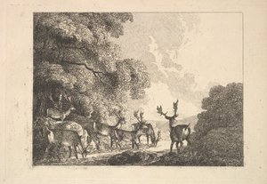 Eine Gruppe von Hirschen beim Trinken, 1784-88 von Thomas Rowlandson