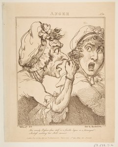 Zorn (21. Januar 1800)